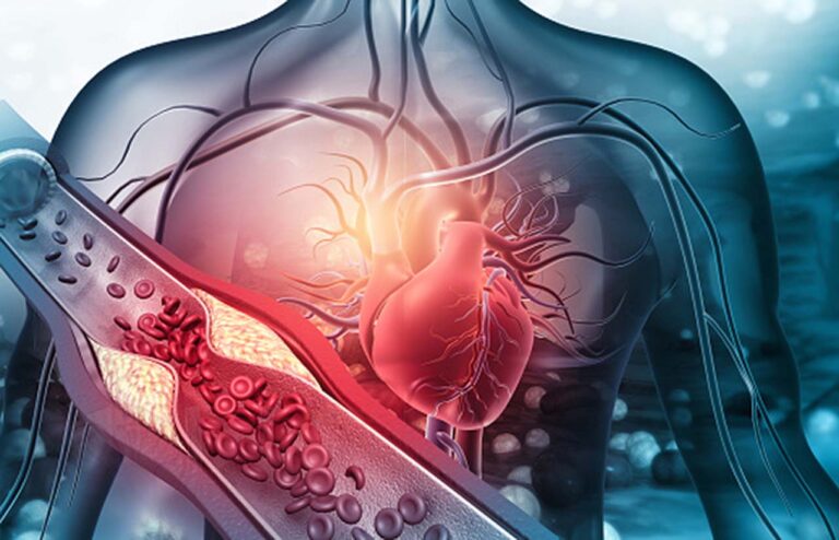 Cardiac Heart Rate Dependence on Mitochondrial  Deuterium 2H Content